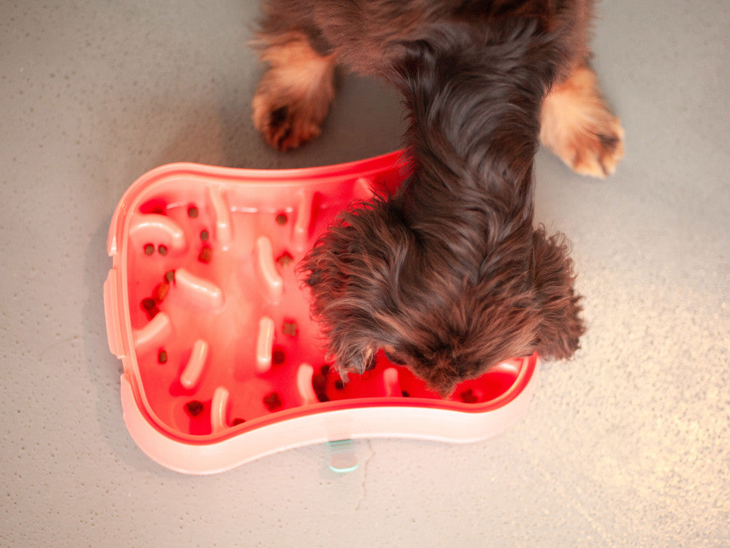 Marley Slowappy Slow Feeder Bowl - Warm Ocean Red