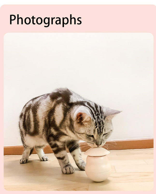 Pet products Pet Toy Cat Laser Toy Tumbler Intelligent Induction Cat Laser Rod