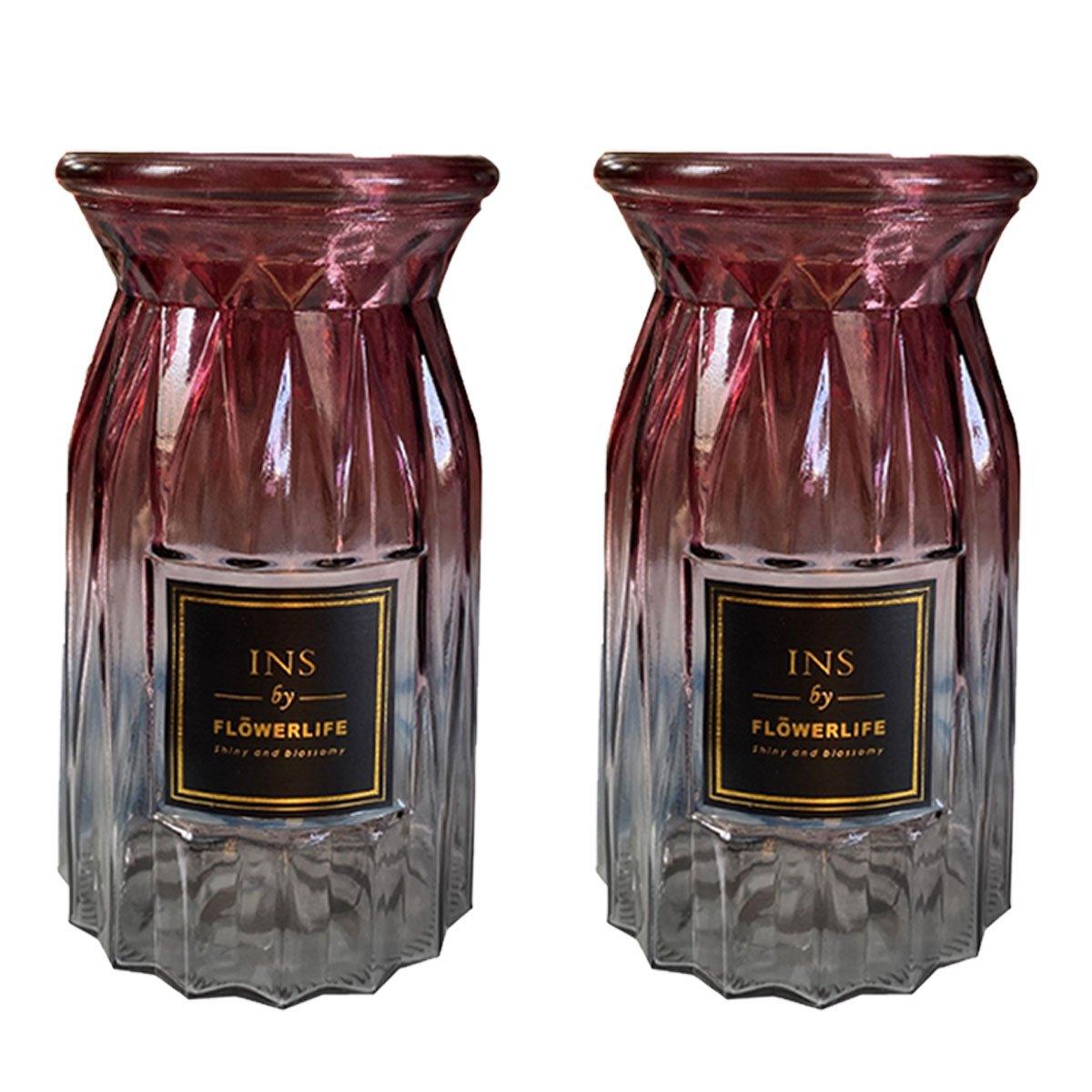 2 Pcs Glass Vase Hydroponic Flower Arrangement Vase for Living Room Decoration - Transparent