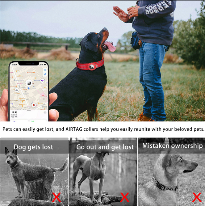 L Pink Secure Nylon Dog Collar with Built-in Apple AirTag (not included) Holder Case - Pet Tracker Accessory