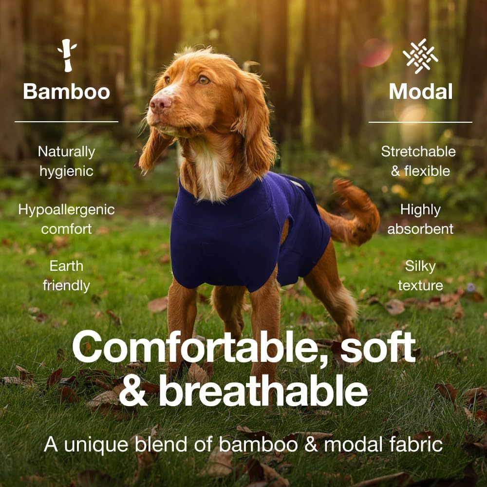 XXL Blue Premium Pet Physiological Suit - Comfortable & Breathable Bamboo Modal Recovery Suit