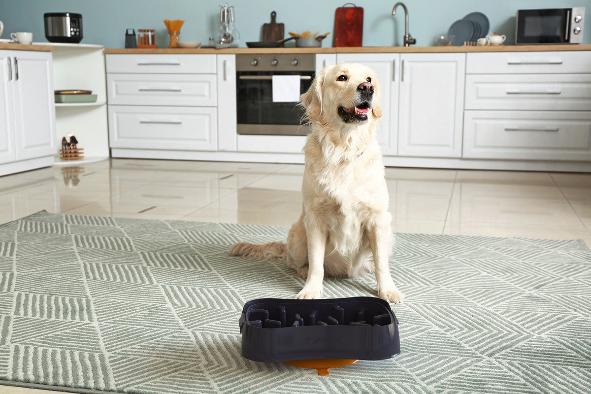 Marley Slowappy Slow Feeder  Bowl - Dark Grey