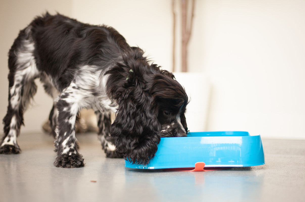 Marley Slowappy Slow Feeder  Bowl - Blue