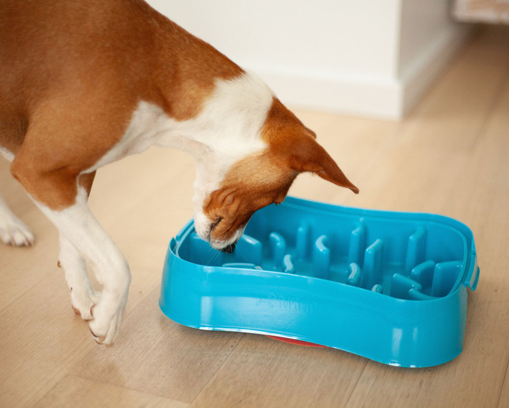 Marley Slowappy Slow Feeder  Bowl - Blue