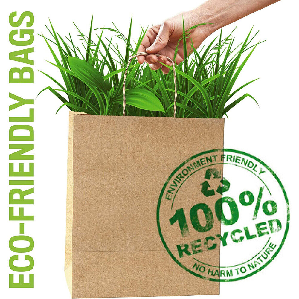 25pcs Bulk Kraft Paper Bags Gift Shopping Carry Craft Brown Retail Bag with Handles Au M