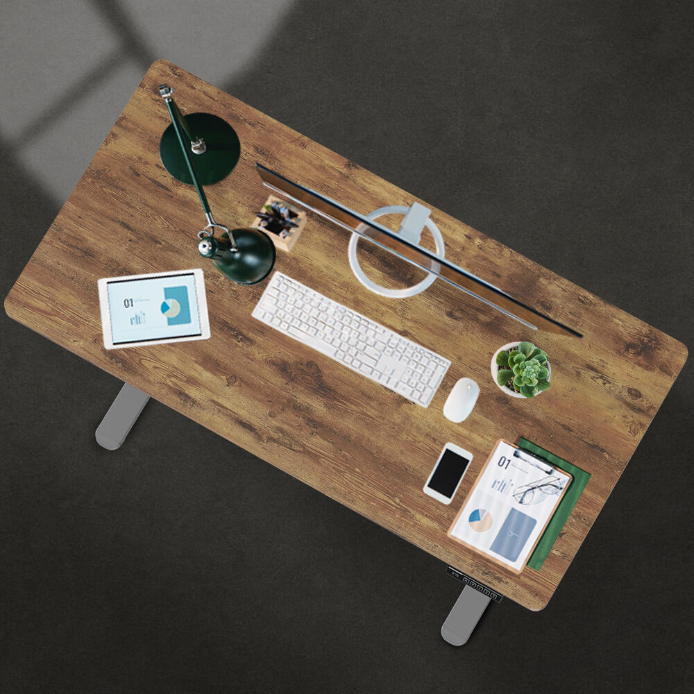 FORTIA Sit To Stand Up Standing Desk, 120x60cm, 72-118cm Electric Height Adjustable, 40kg Rated, Oak Style/Silver Frame