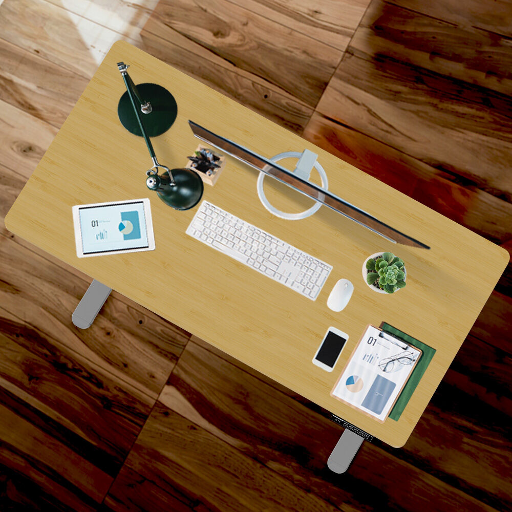 FORTIA Sit To Stand Up Standing Desk, 120x60cm, 72-118cm Electric Height Adjustable, 40kg Rated, White Oak Style/Silver Frame