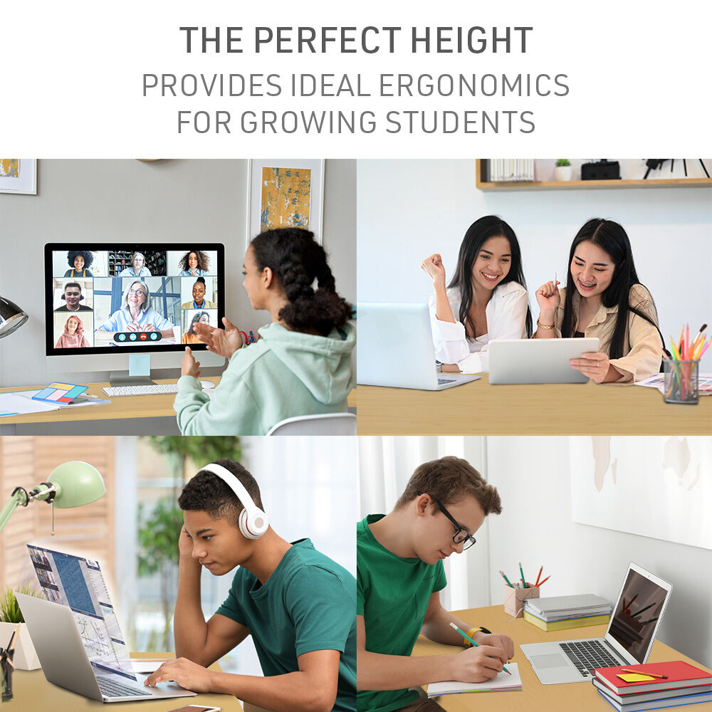 FORTIA Sit To Stand Up Standing Desk, 120x60cm, 72-118cm Electric Height Adjustable, 40kg Rated, White Oak Style/Silver Frame