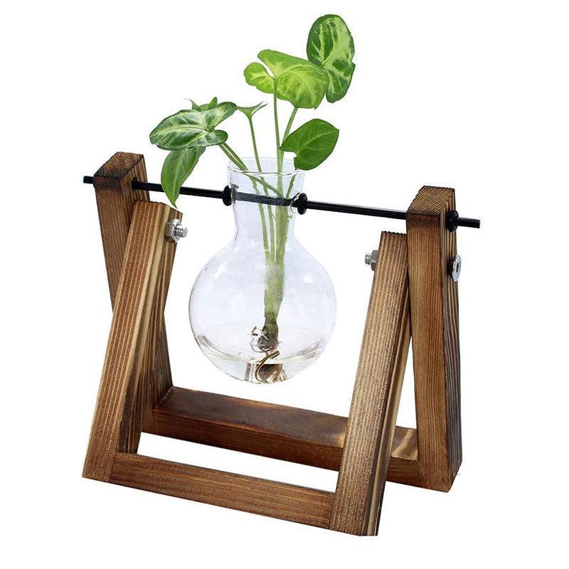 Wood Stand Glass Vase Terrarium Hydroponic Hanging Planter Home Decor - M With 2 Bottles