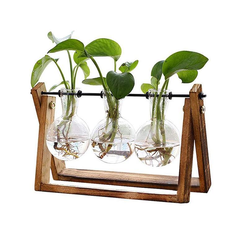 Wood Stand Glass Vase Terrarium Hydroponic Hanging Planter Home Decor - M With 2 Bottles