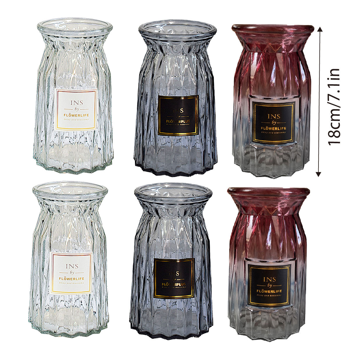 2 Pcs Glass Vase Hydroponic Flower Arrangement Vase for Living Room Decoration - Transparent