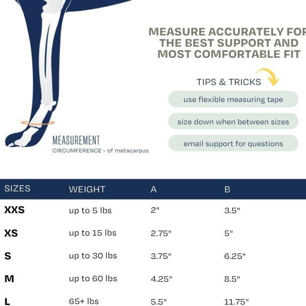 3 Pcs Size L Dark Blue Supportive Dog Leg Brace - Adjustable Carpal/Tarsal Splint for Injury & Arthritis Relief