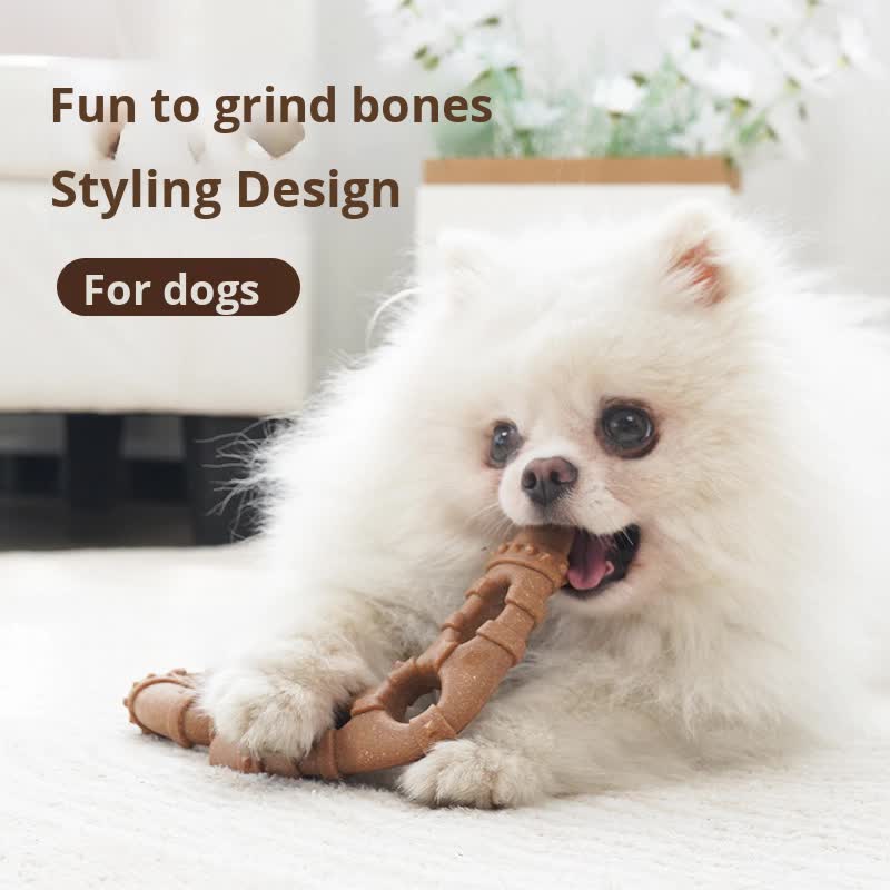 Trigeminal bone Durable Dog Chew Toy for Dental Health - Tough, Non-Toxic Teething Bone for Small & Medium Dogs