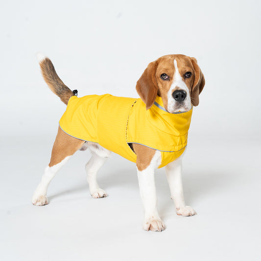 XL Yellow All-Season Pet Raincoat - Waterproof & Dustproof High-Collar Dog Windbreaker for Spring