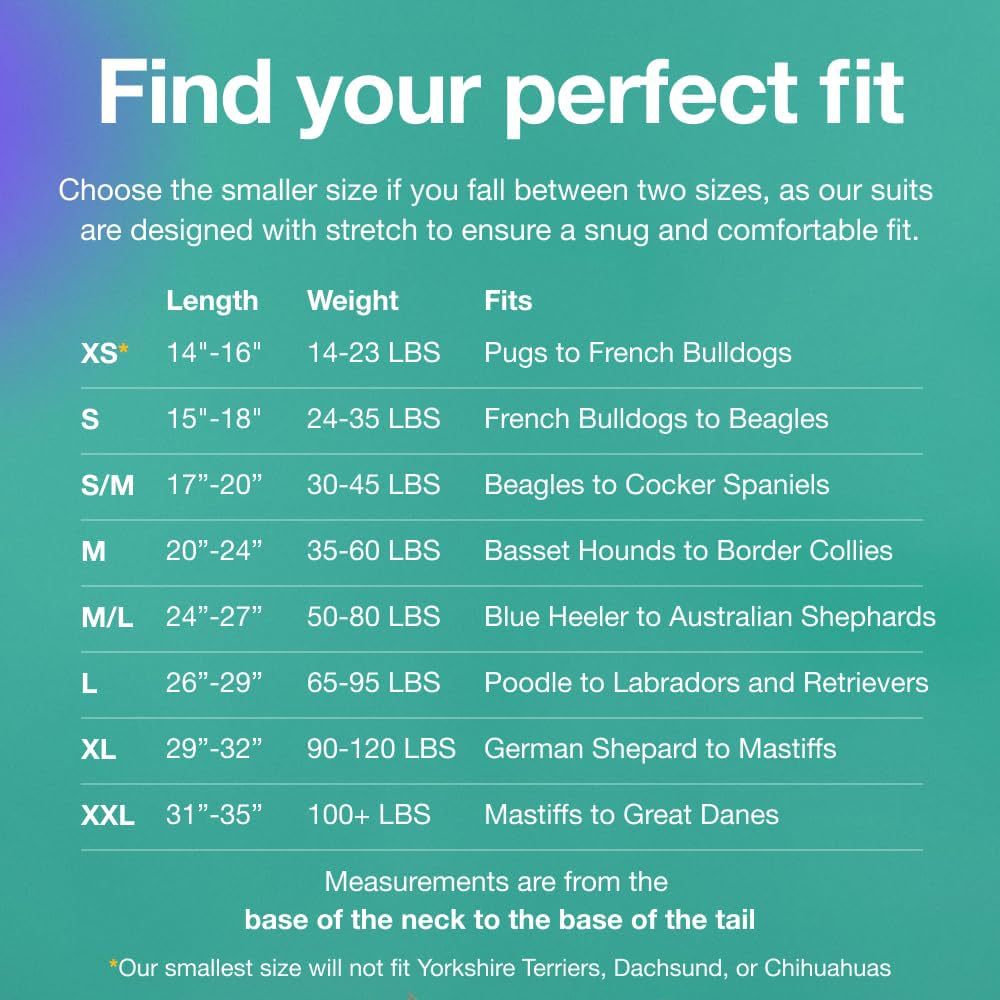 M Blue Premium Pet Physiological Suit - Comfortable & Breathable Bamboo Modal Recovery Suit