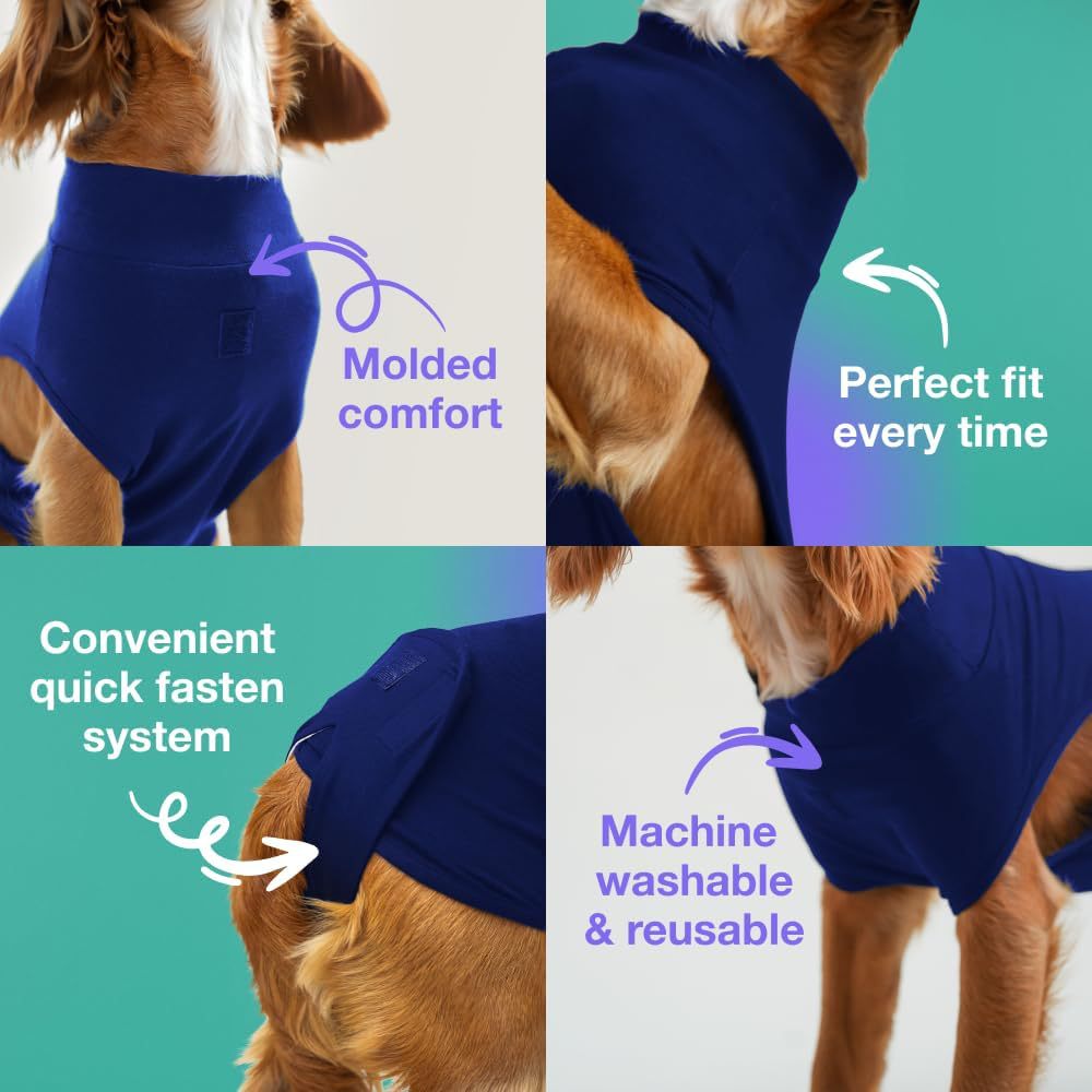 L Blue Premium Pet Physiological Suit - Comfortable & Breathable Bamboo Modal Recovery Suit
