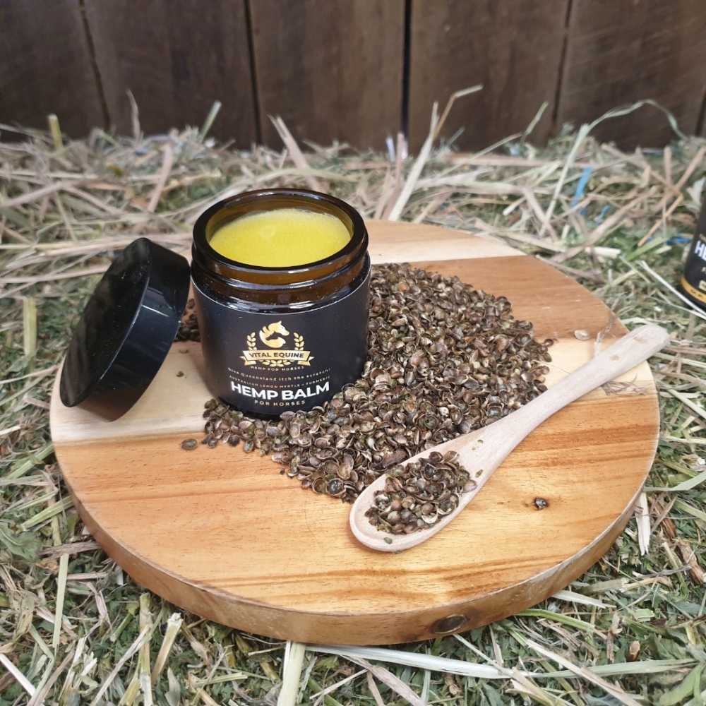 Vital Equine | Hemp Starter Pack | Turmeric + Hemp Oil & Lemon Myrtle Balm